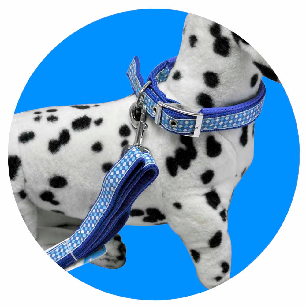 Collar Para Perro REF HC61167