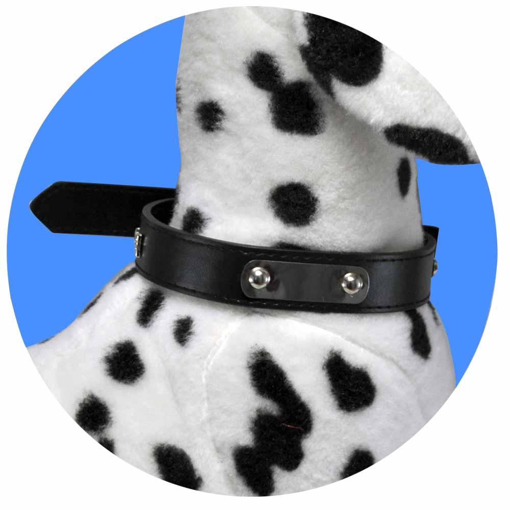 Collar Para Perro REF HC6198