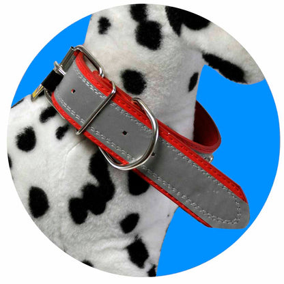 Collar Reflectivo Para Perro REF HC6207